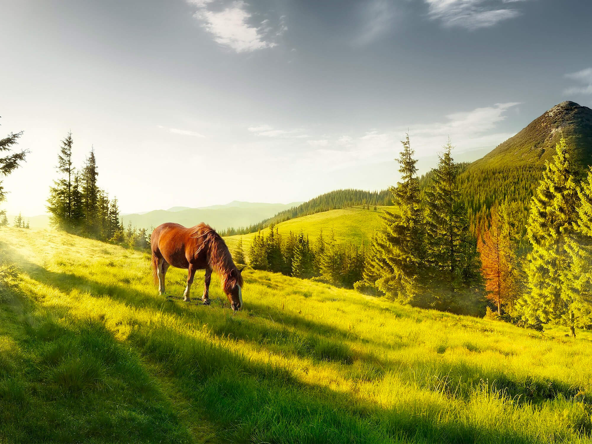 ПІЗНАЙТЕ МІСЦЕВІСТЬ РАЗОМ З RAKHIV HOTEL & APARTMENTS